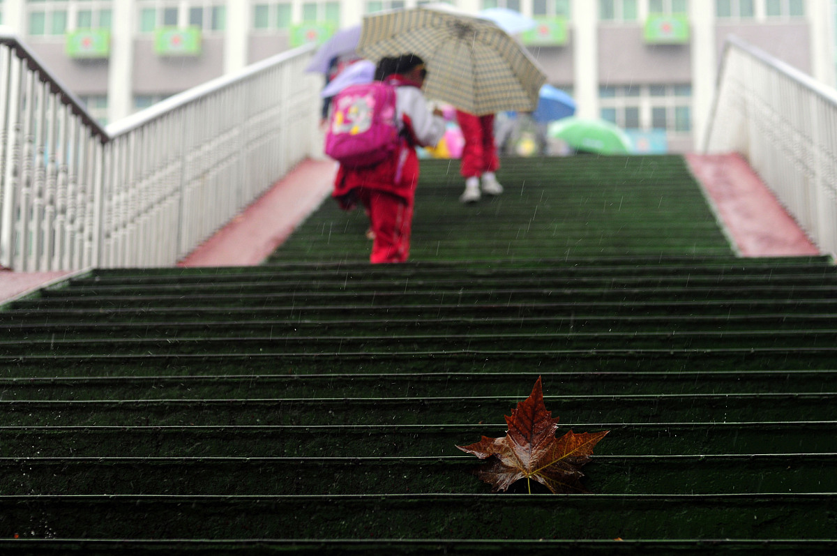 2008年10月21日,江苏淮安秋雨中的秋叶,让人感觉到一丝伤感.+++_+++秋