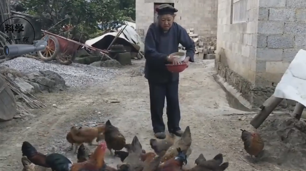 你吃剩的鸡骨头,在亿万年后,或会成为人类统治地球的“标志”!