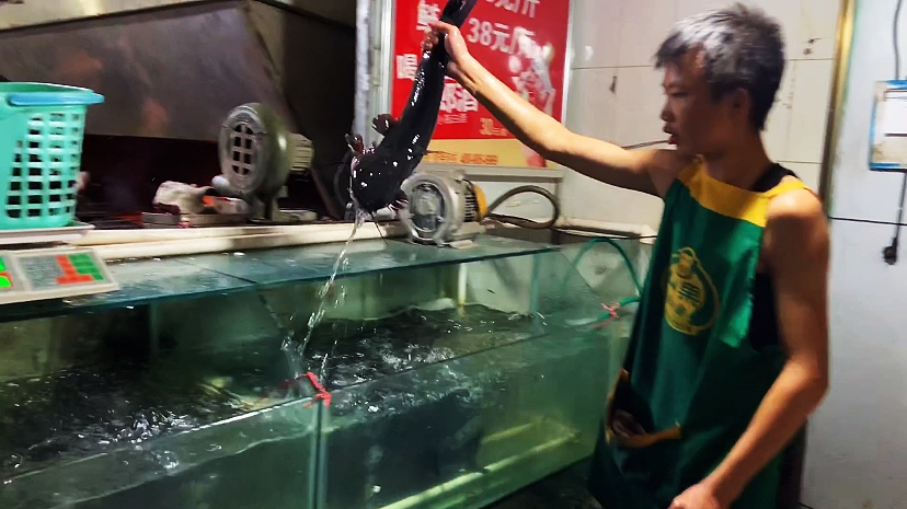 晶晶晚上出去吃烤鱼,挑了1个4.4斤的江团,35块1斤花了165块钱