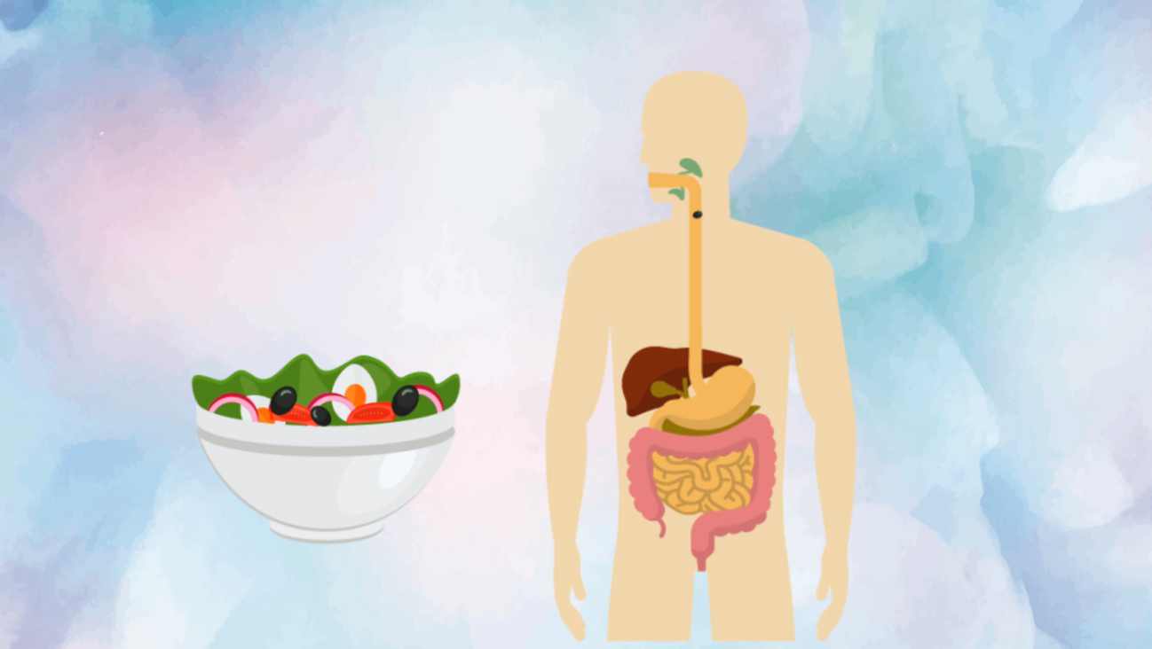 [图]食品卫生与营养学专业:研究食物与机体的相互作用等的一门学科