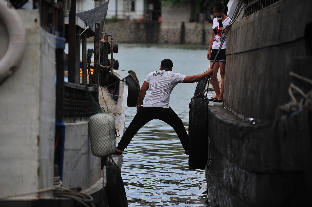 20条回复：台风杜苏芮逼近！潮新闻记者在浙江沿海直击防台一线