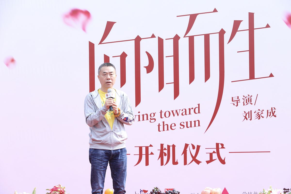 花向阳而生：一部关于奋斗与成长的电影