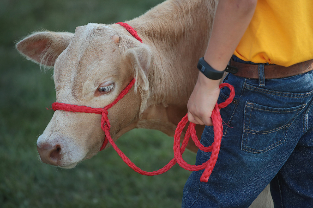 贵阳护理健康与制药专业介绍 - 热门专业，高水平人才培养