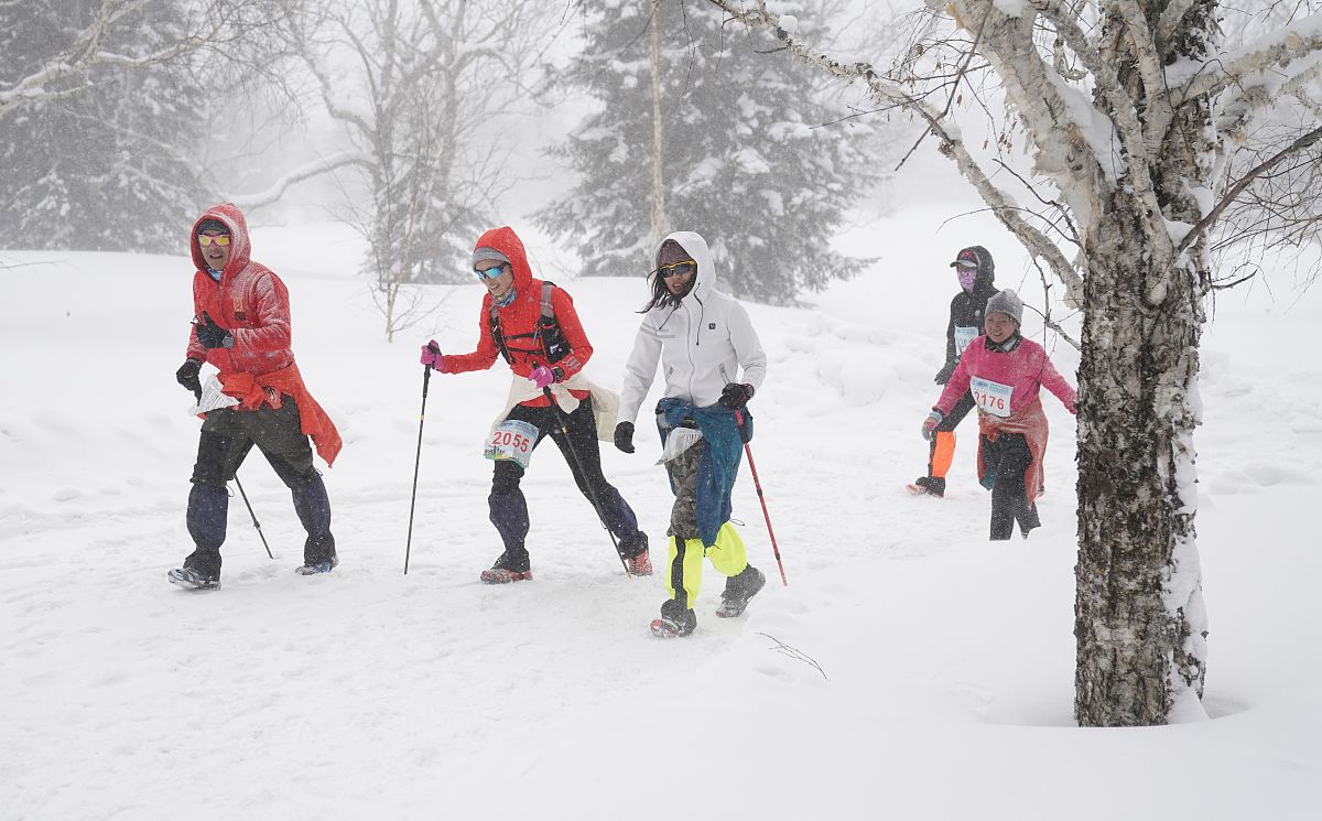成功拔草是什么意思？详细解释及应用场景