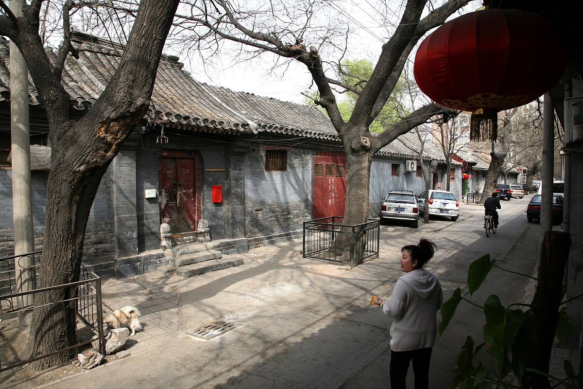 2006年4月16日,北京,兴华胡同是一条很有感觉的老胡同,不仅树老,院好,