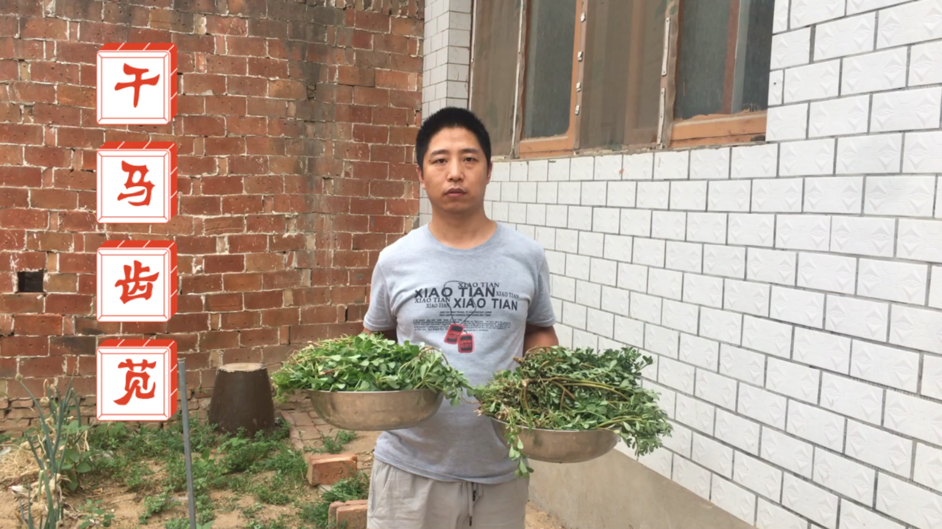 小伙在家制作干麻绳菜,绑野菜还用上了秘密武器,晒马齿苋很好用