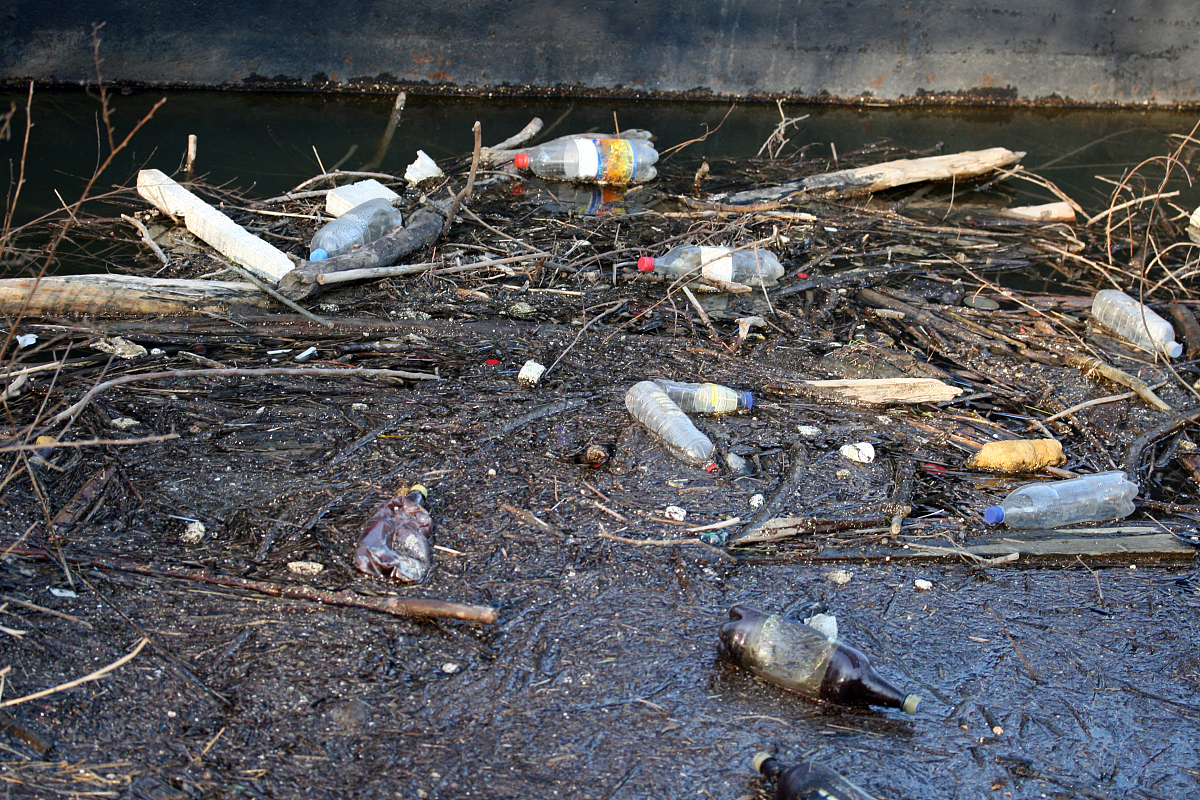 日本核废水排放对环境和人类健康的影响