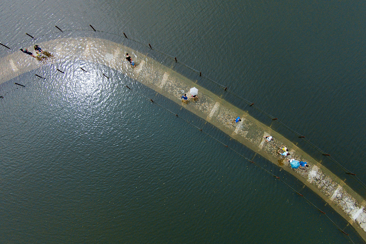 骆马湖开展水生生物采样，助力南水北调研究
