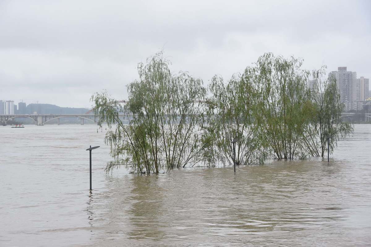 2019年南充师范学校中职中专招生简章