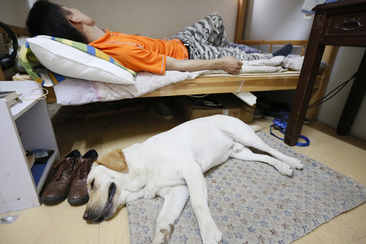 2018年4月7日,广州.***_***中午时候,训导员和导盲犬要一起休息三小时