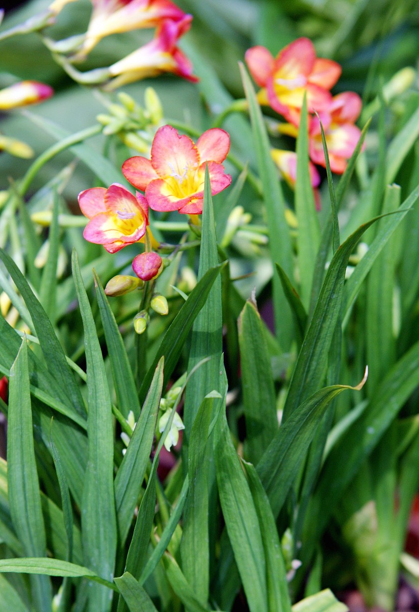 20个适合年轻女性的英文名，优雅时尚好记！