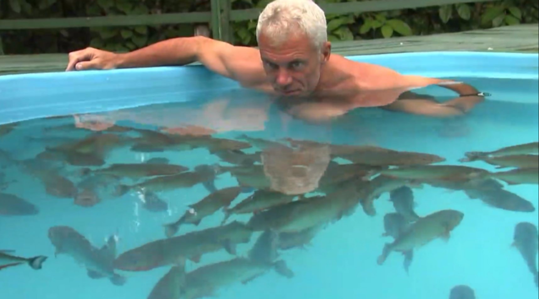 外国大叔不信食人鱼会吃人,直接亲自实验,就问你服不服!