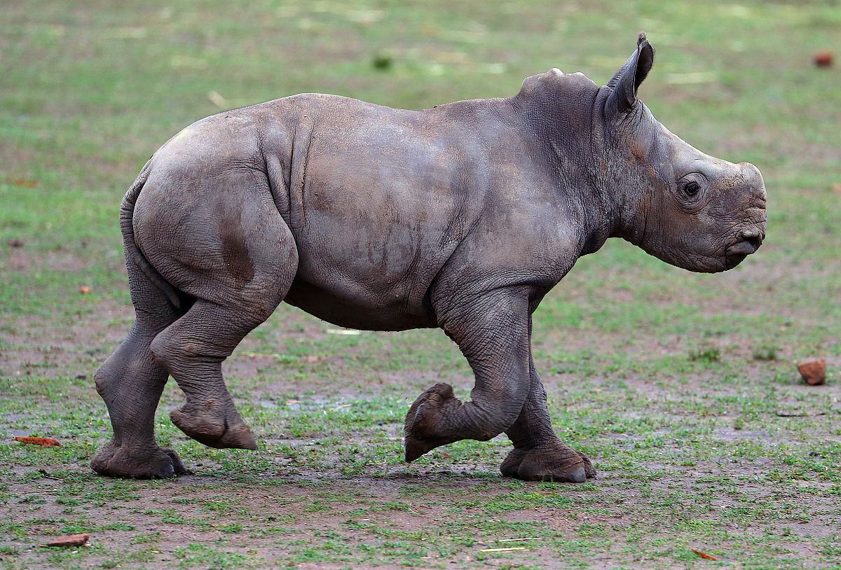 RhinoCAM 软件设置保存路径教程 - 简易操作步骤