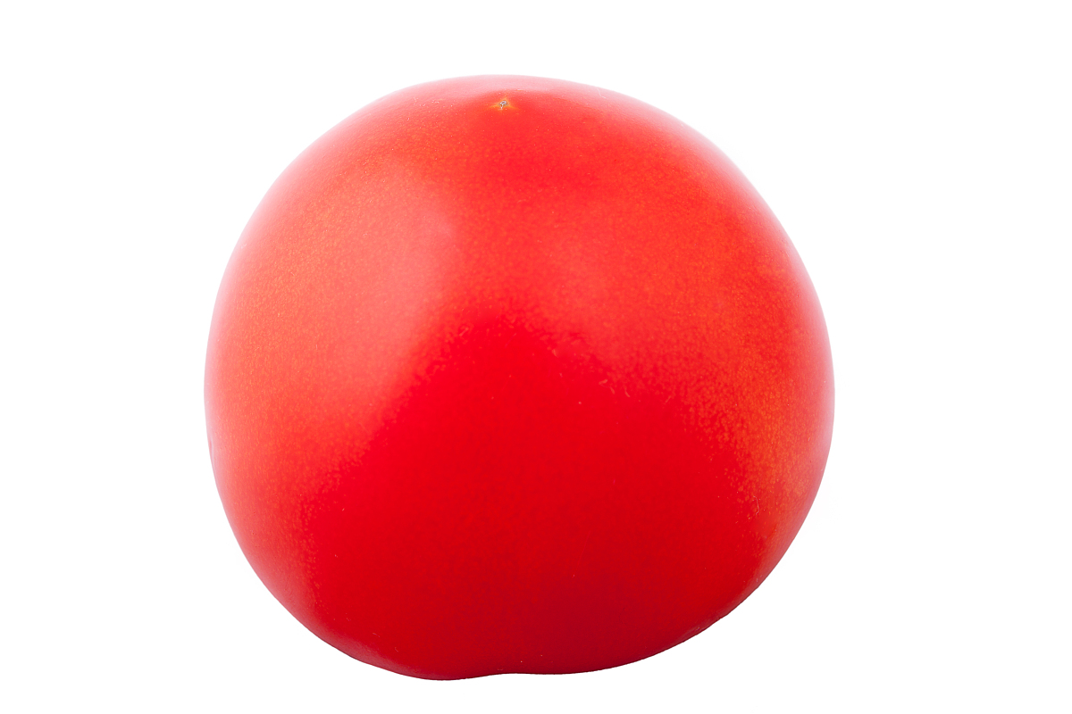 side view of a fresh juicy tomato over white background