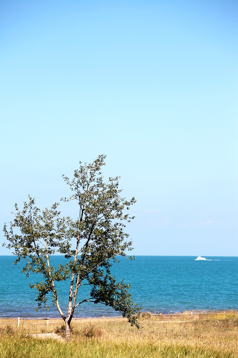 请帮我写1篇650字的博客文章主题是：青海湖旅游攻略路线