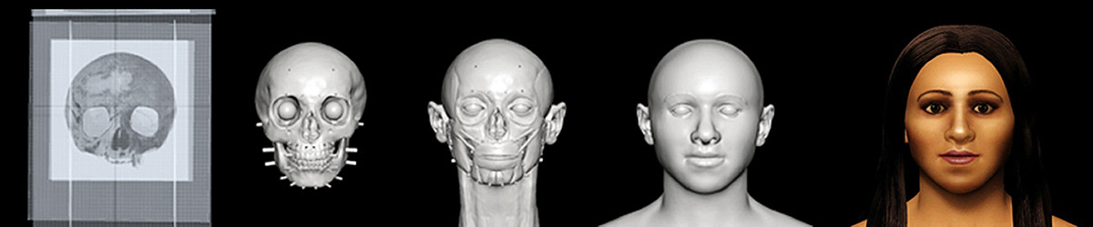 女生学法医真的不好吗 毕业好就业吗