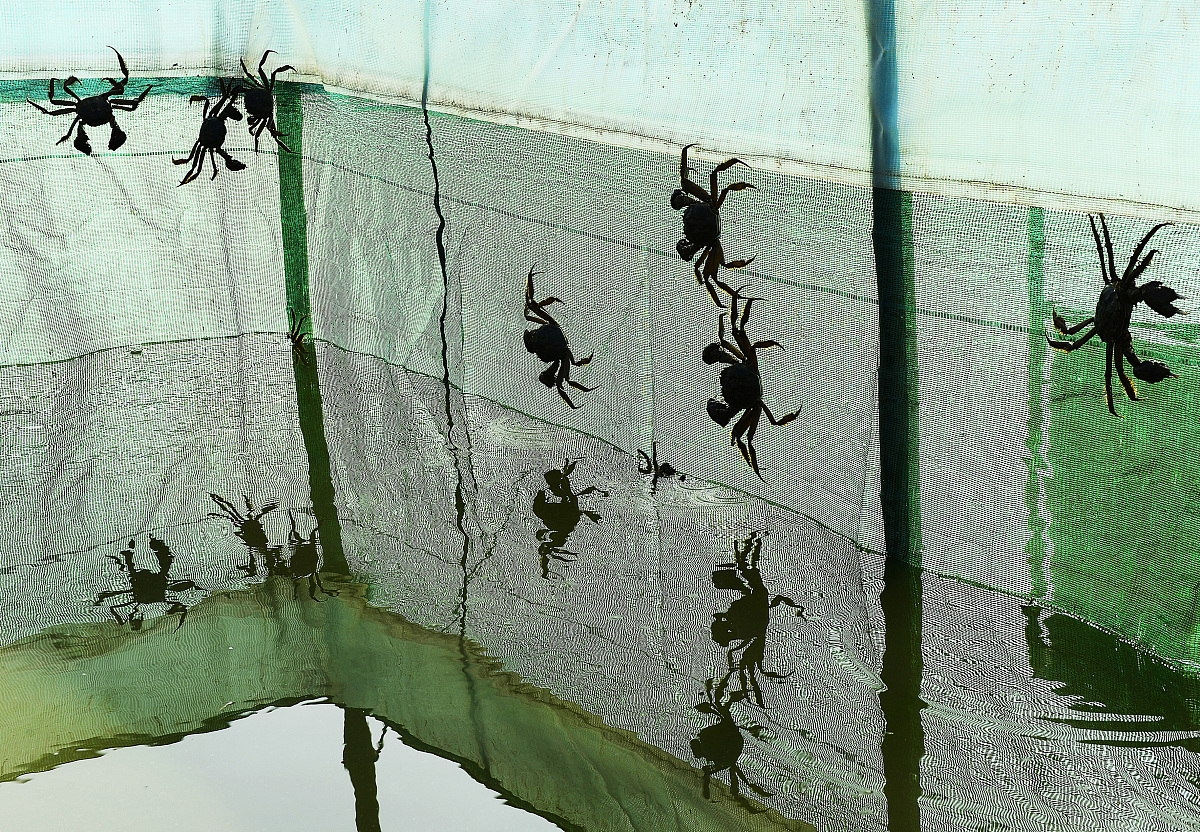 威海市水产学校招生办电话 - 了解招生信息，开启水产梦想