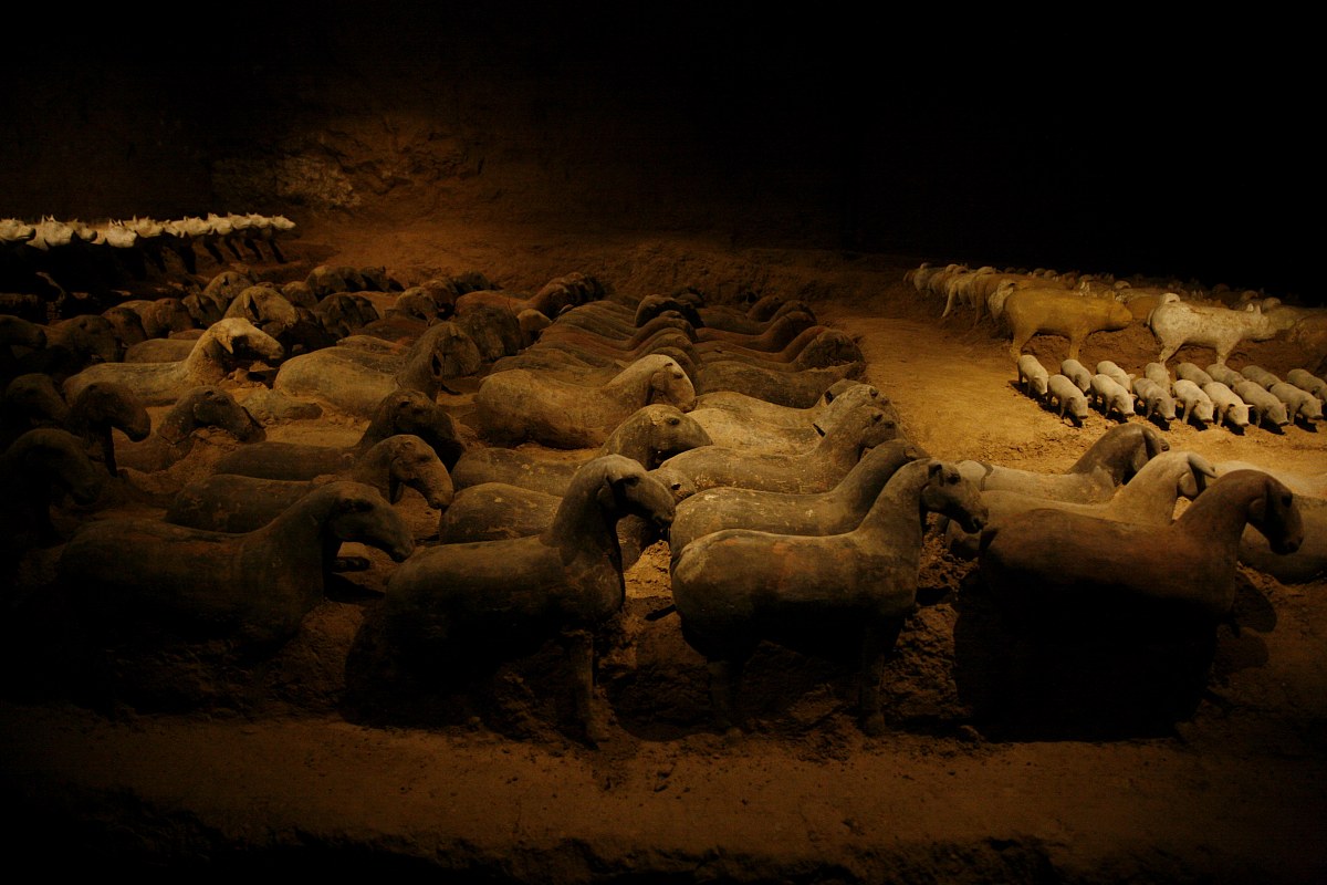 历史抖音号大盘点：20个优质账号推荐，带你穿越时空！