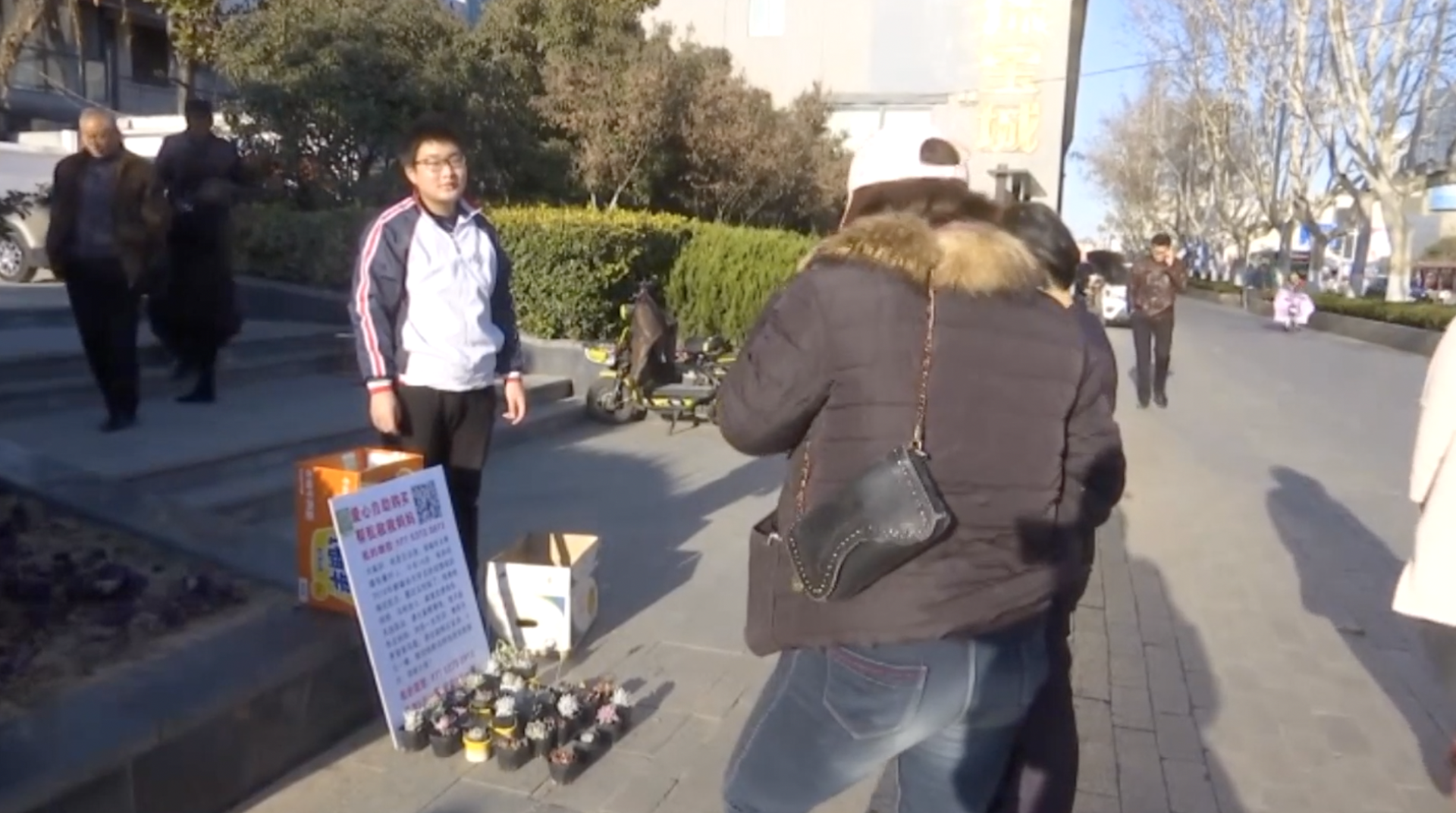 父亲残疾,14岁少年辍学照顾生病妈妈,路边卖多肉筹医药费
