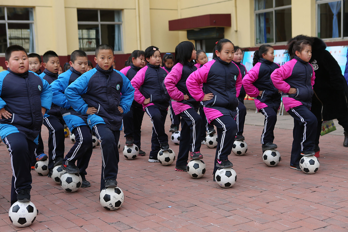 绿树繁花，设施完善，学习乐园 - 某校校园环境介绍