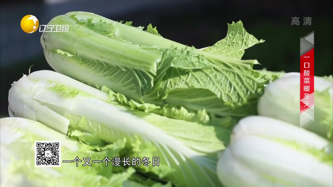 东北酸菜是白菜腌制的,新民是辽宁白菜的主产地,百菜不如白菜