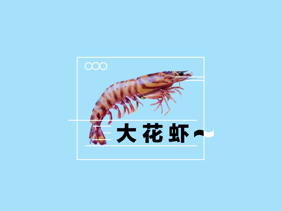 大花虾:色彩光鲜,生的时候和熟的时候一样的色彩斑斓