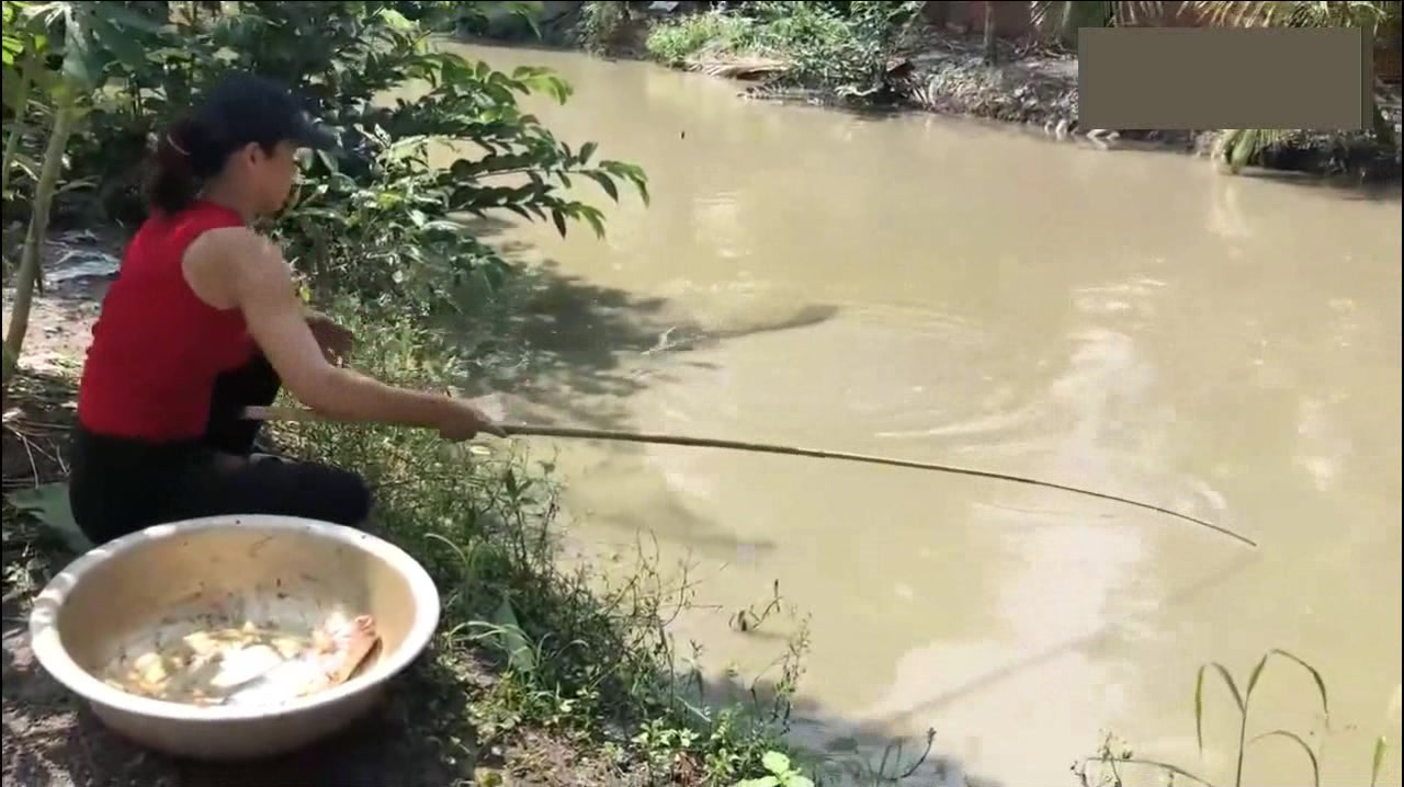 看美女野外钓鲶鱼怎么钓?美女教你一种不一样的野钓鲶鱼技巧