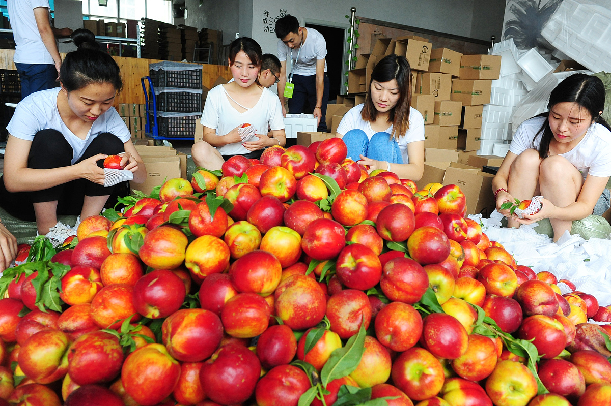 安徽绿海商务职业学院连锁经营管理专业怎么样？优势、就业前景及学院介绍