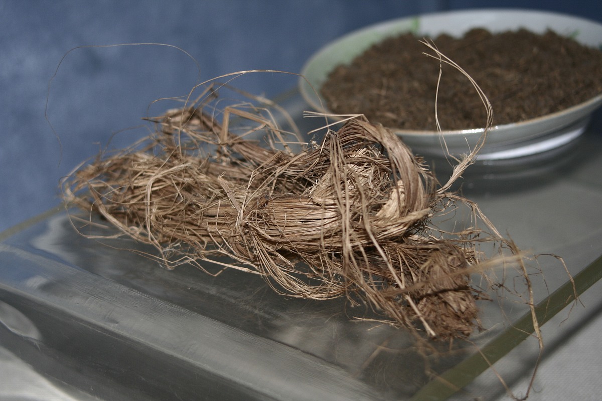 二年级造纸过程详解：从废纸到纸张的奇妙之旅