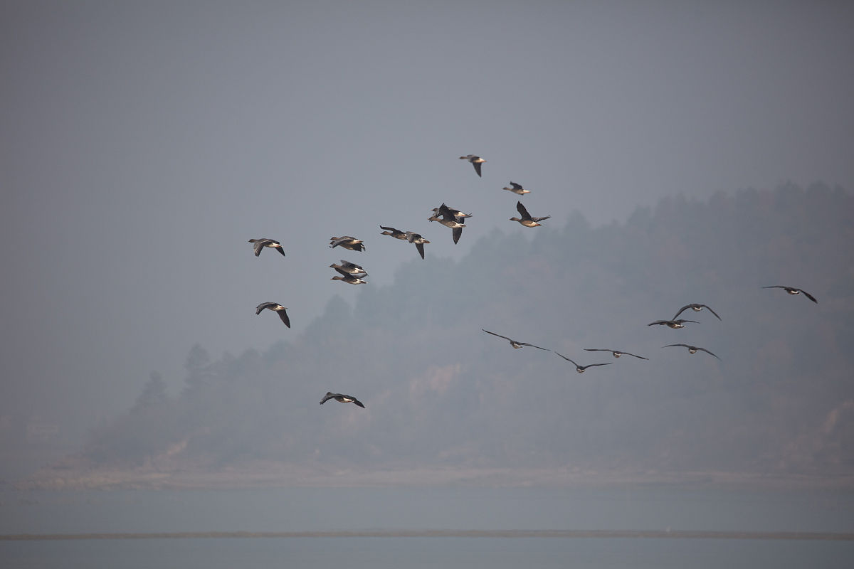 安庆的媒体曝光平台有哪些｜安庆媒体曝光求助热线是多少 要求：创建一篇1500至2000字的解决方案