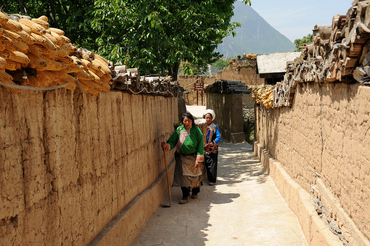 绵阳师范学院全国排名是多少用