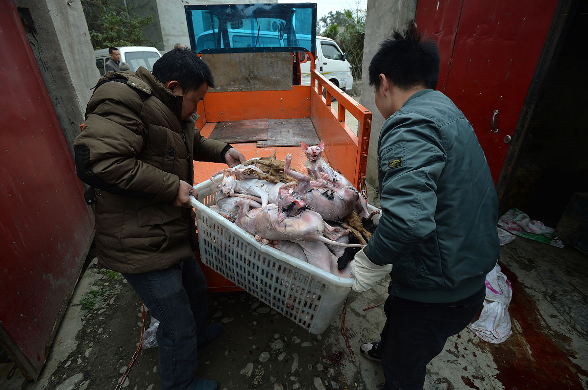 重庆医专药品生产技术专业招生：培养医药人才，助力产业发展