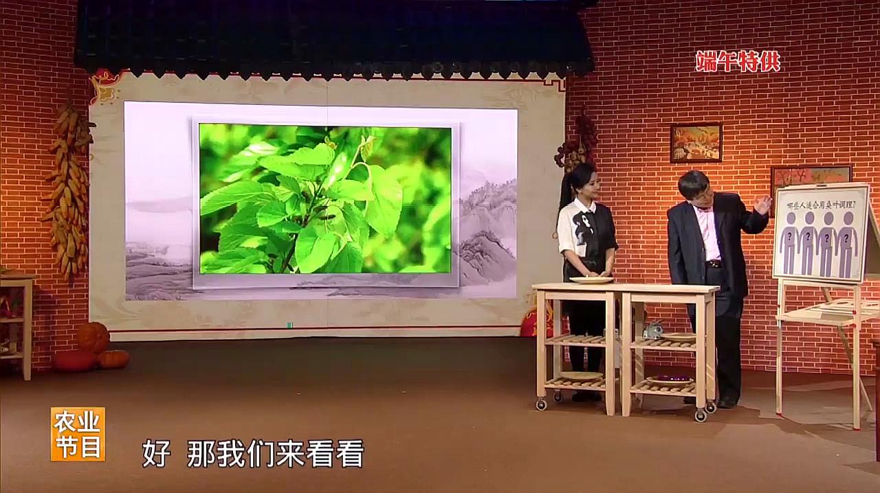 [图]桑叶的作用您可能不知道,面红目赤、脾气暴躁和高血压人群看过来