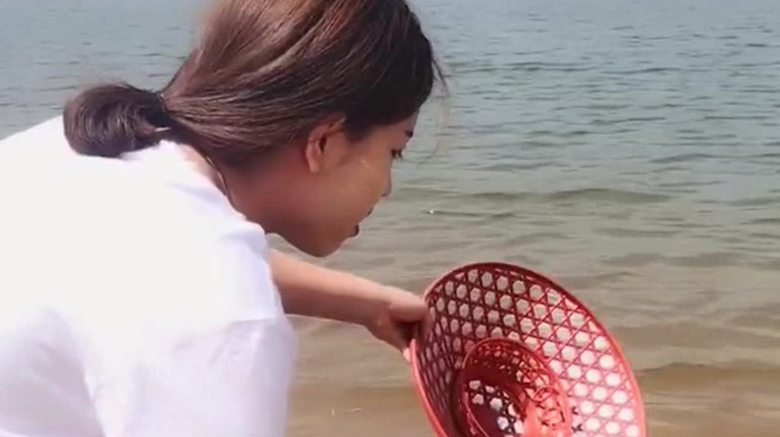 缅甸美女,竟然用这东西下河抓鱼,看完之后真的很佩服她们!