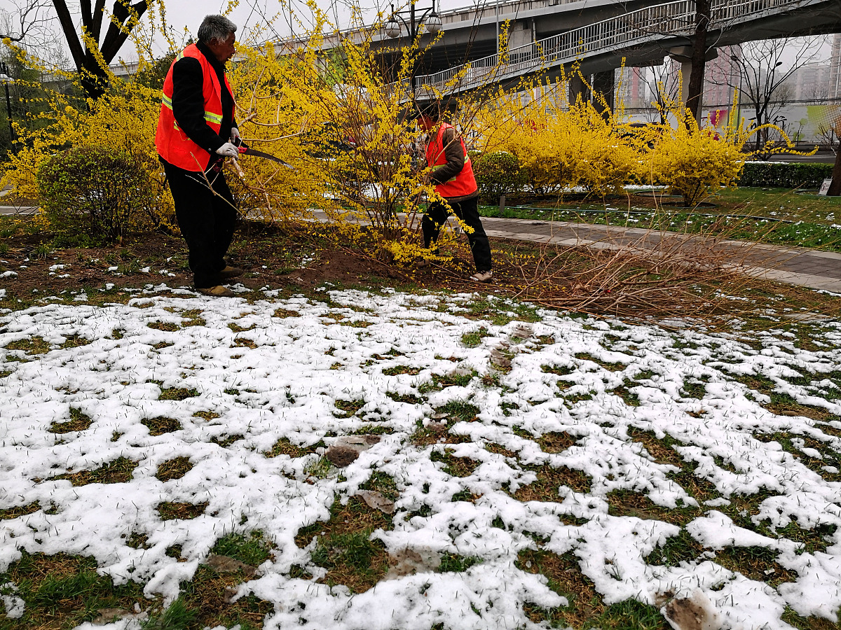 优化和补充：滨河东区道路柳絮问题严重天天刮的睁不开眼有的小孩还过敏别的地方都没有就这条路上太多了。