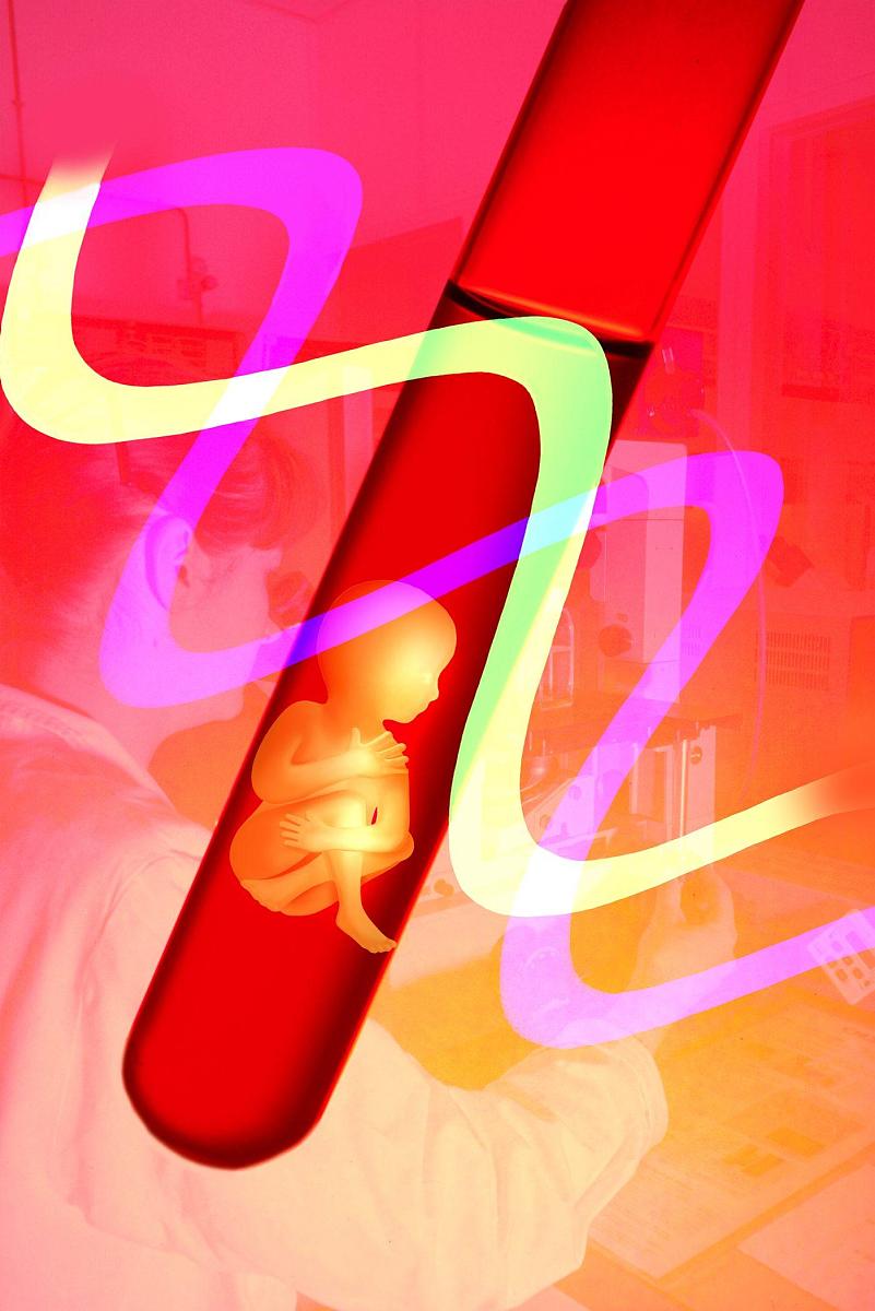 台湾三代试管费用详解：价格、方案、省钱技巧和影响因素