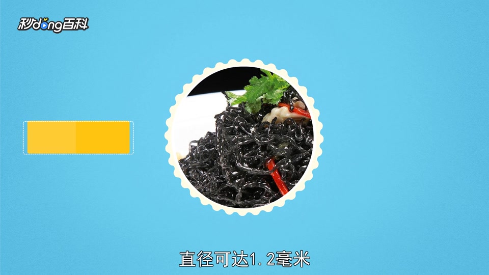 原来发菜长这样