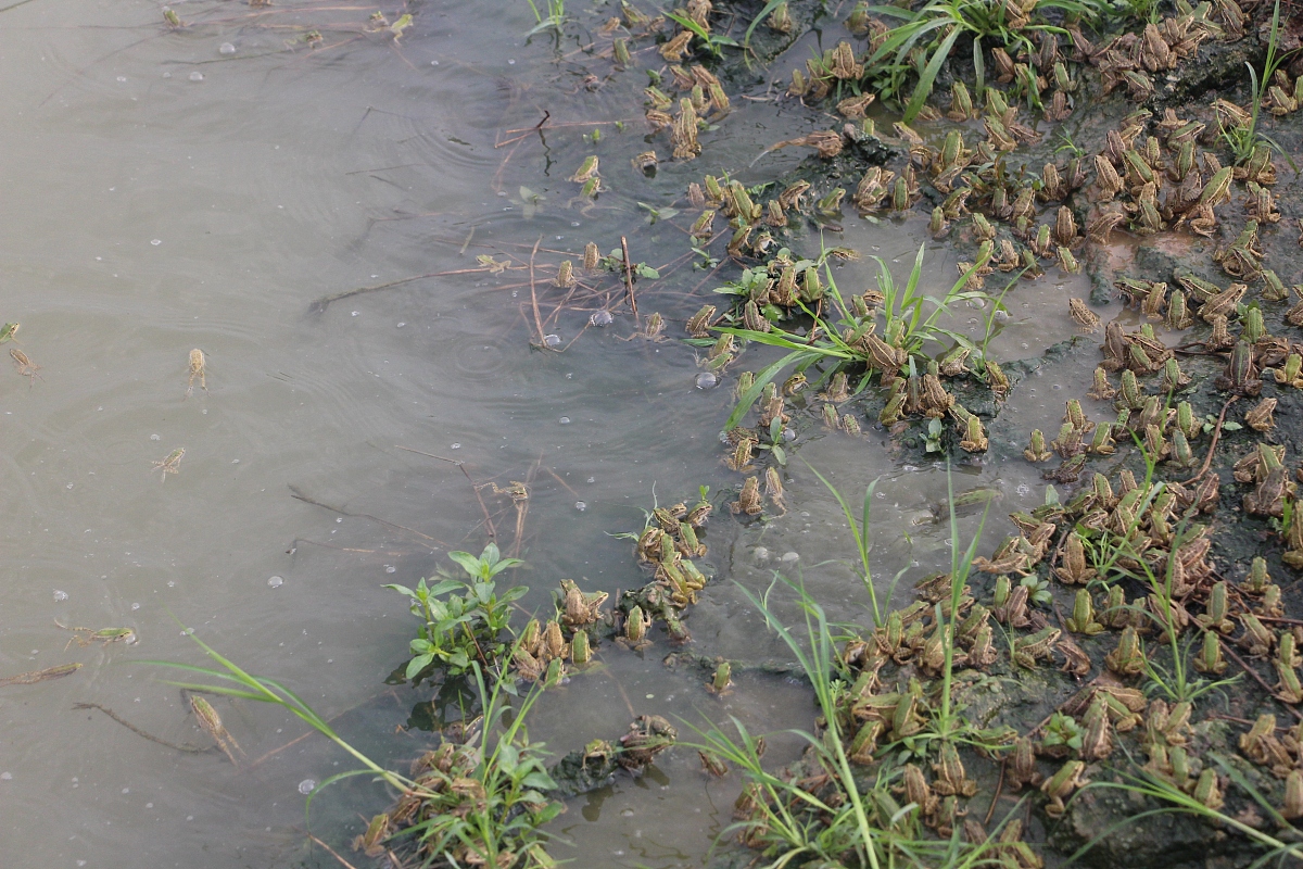 长岛水产职业中等专业学校2022年有哪些专业