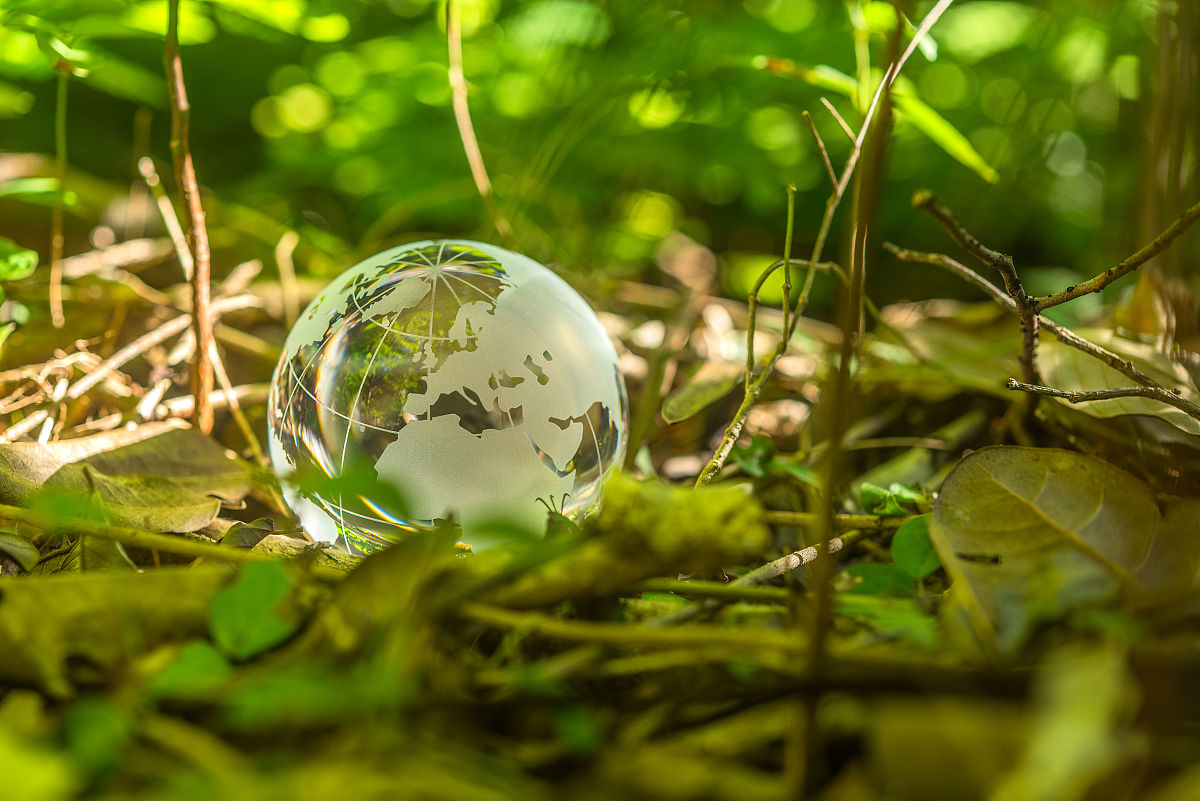 人与自然关系：和谐共生之道