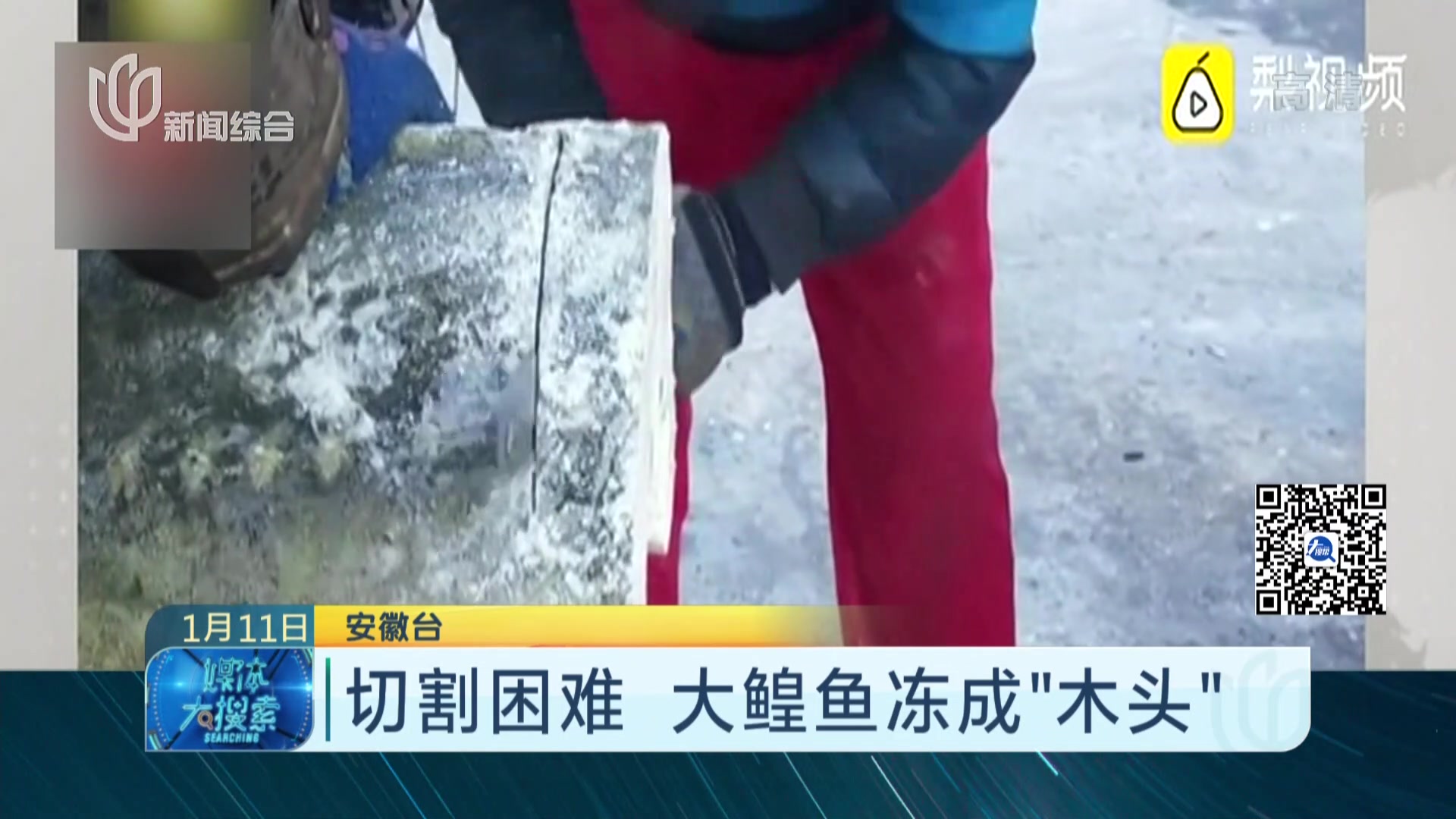 切割困难 大鳇鱼冻成“木头”