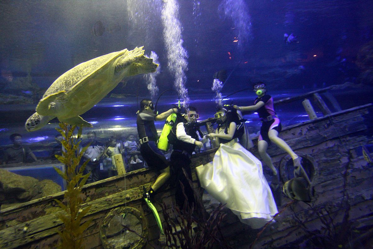 泉州海洋学院飞机维修专业怎么样？- 就业前景广阔