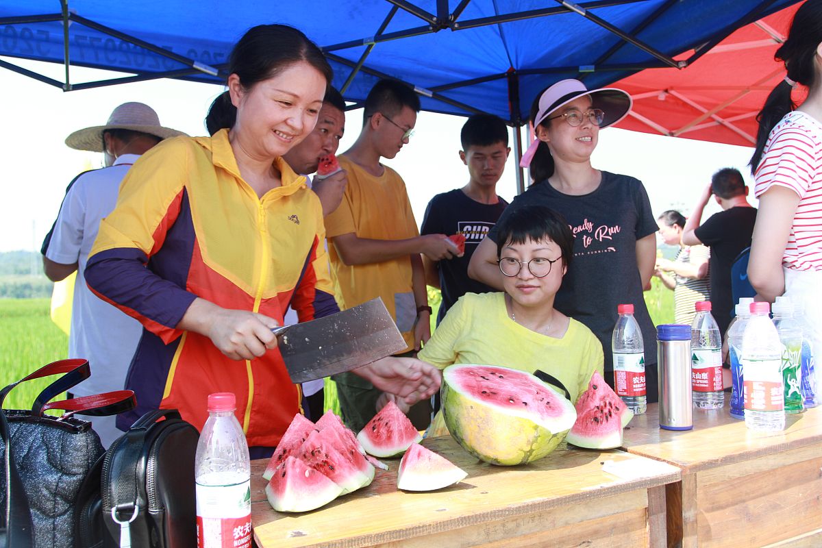 如需下载使用,请务必署名:张若愚/视觉中国,谢谢!2019年8月17日,江西