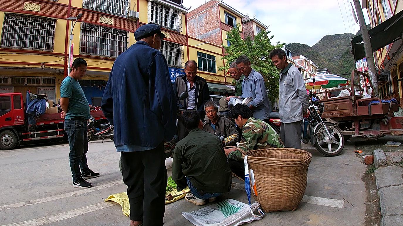 [图]小莫摆地摊卖鸽子，路人光看不买，识货大爷一到场，瞬间被抢光