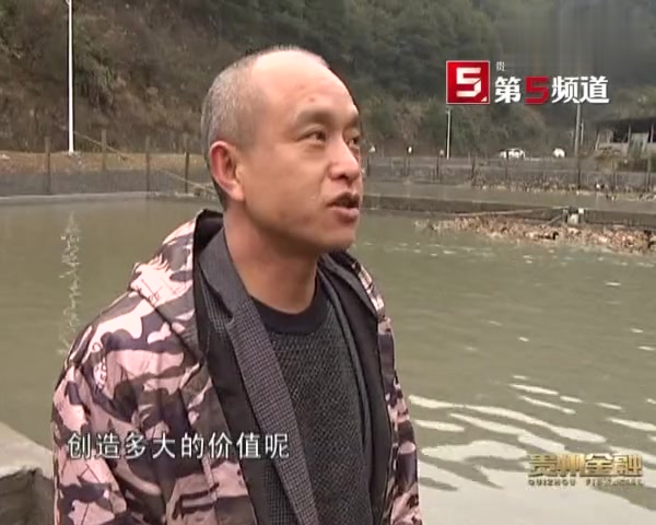 贵州绿色产业扶贫投资基金发展纪实(三):三穗麻鸭产业的崛起