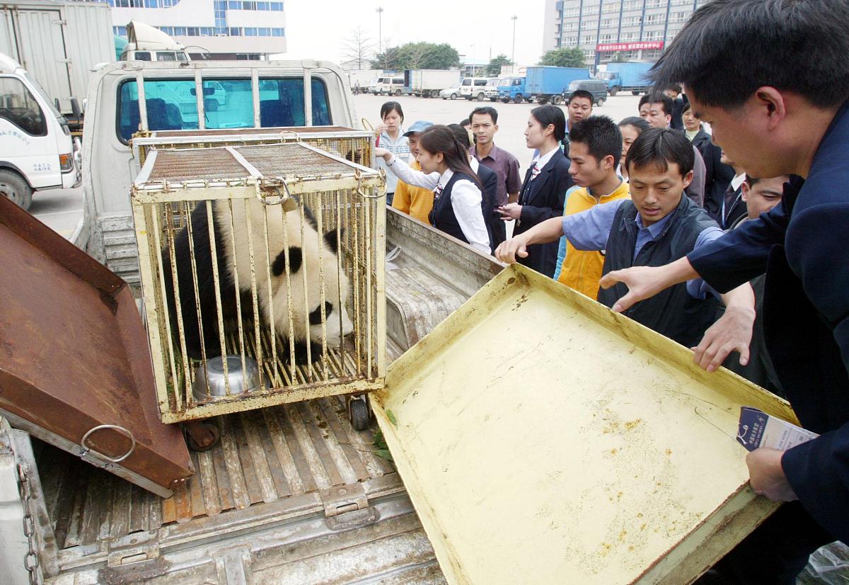 四川开设数控技术应用专业的中专中职学校有哪些_怎么样