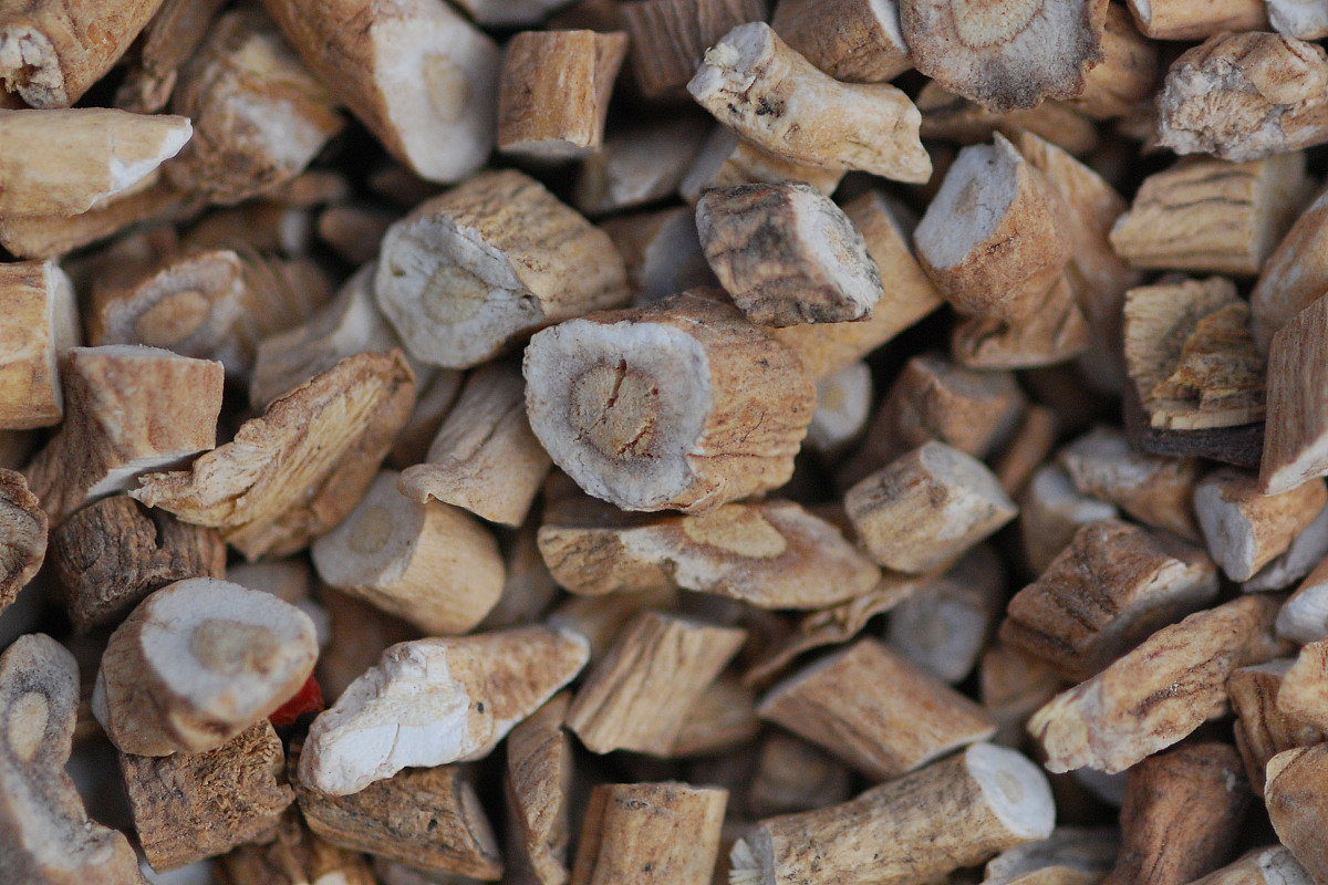 湖南健康学校中药专业怎么样？课程设置及就业前景分析