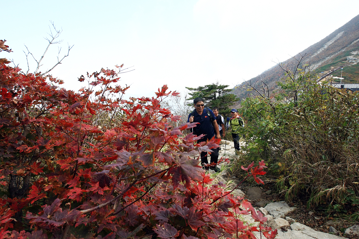 当地时间2012年9月25日,韩国雪岳山大青峰山路上出现今年第一丛红叶,