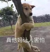 上《极限挑战》被P成卡通形象？他也真是活该啊...