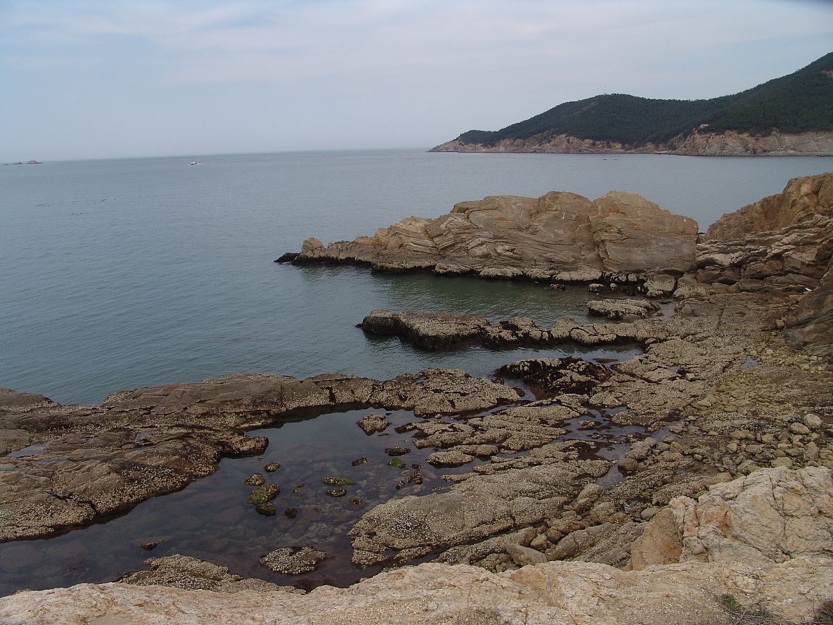 威海艺校地址 - 寻找威海艺校位置指南