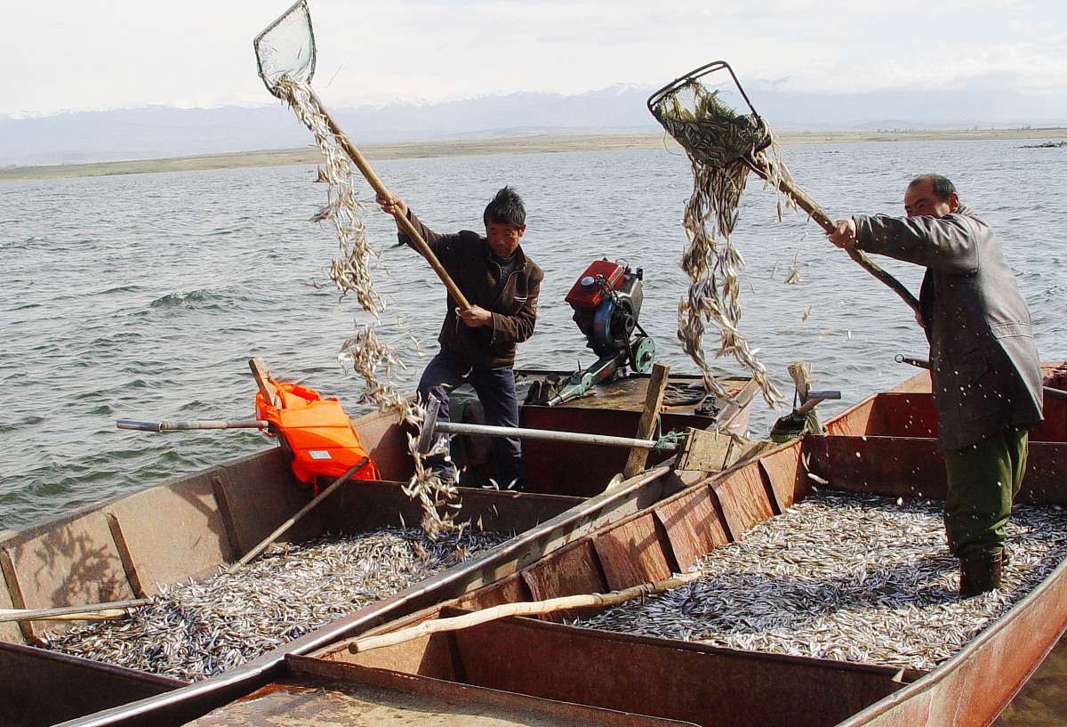 武汉中等职业高中水产养殖好不好？有什么招生要求